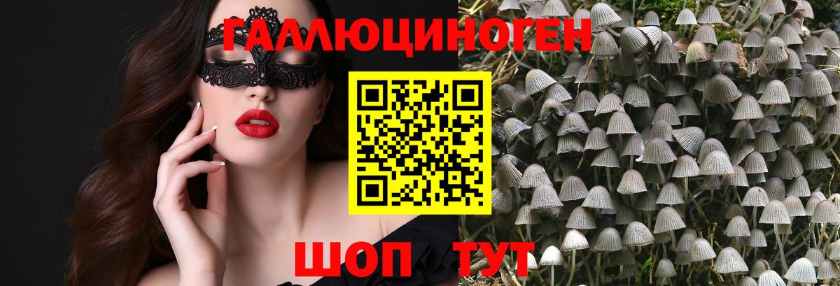 Галлюциногенные грибы Magic Shrooms  Вход с VPN  Королёв 