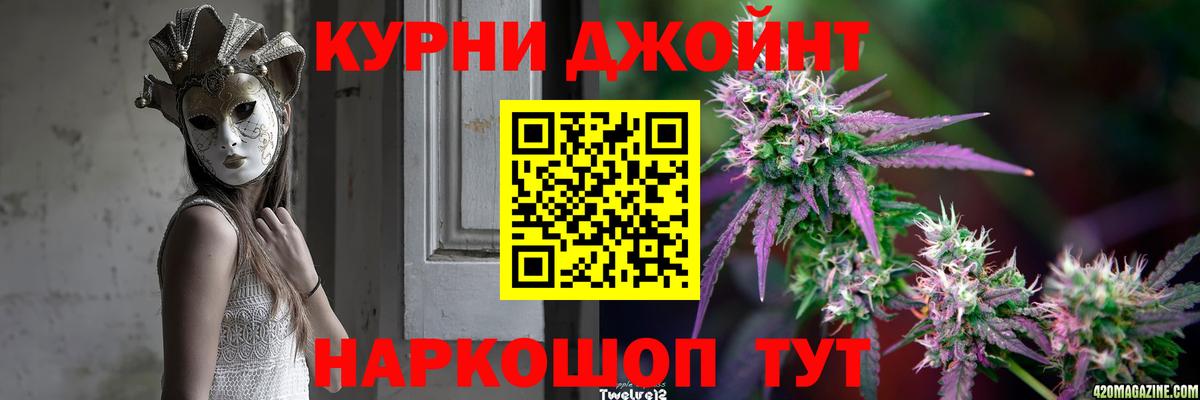 Каннабис конопля  Вход с VPN  Конопля сатива  Королёв 